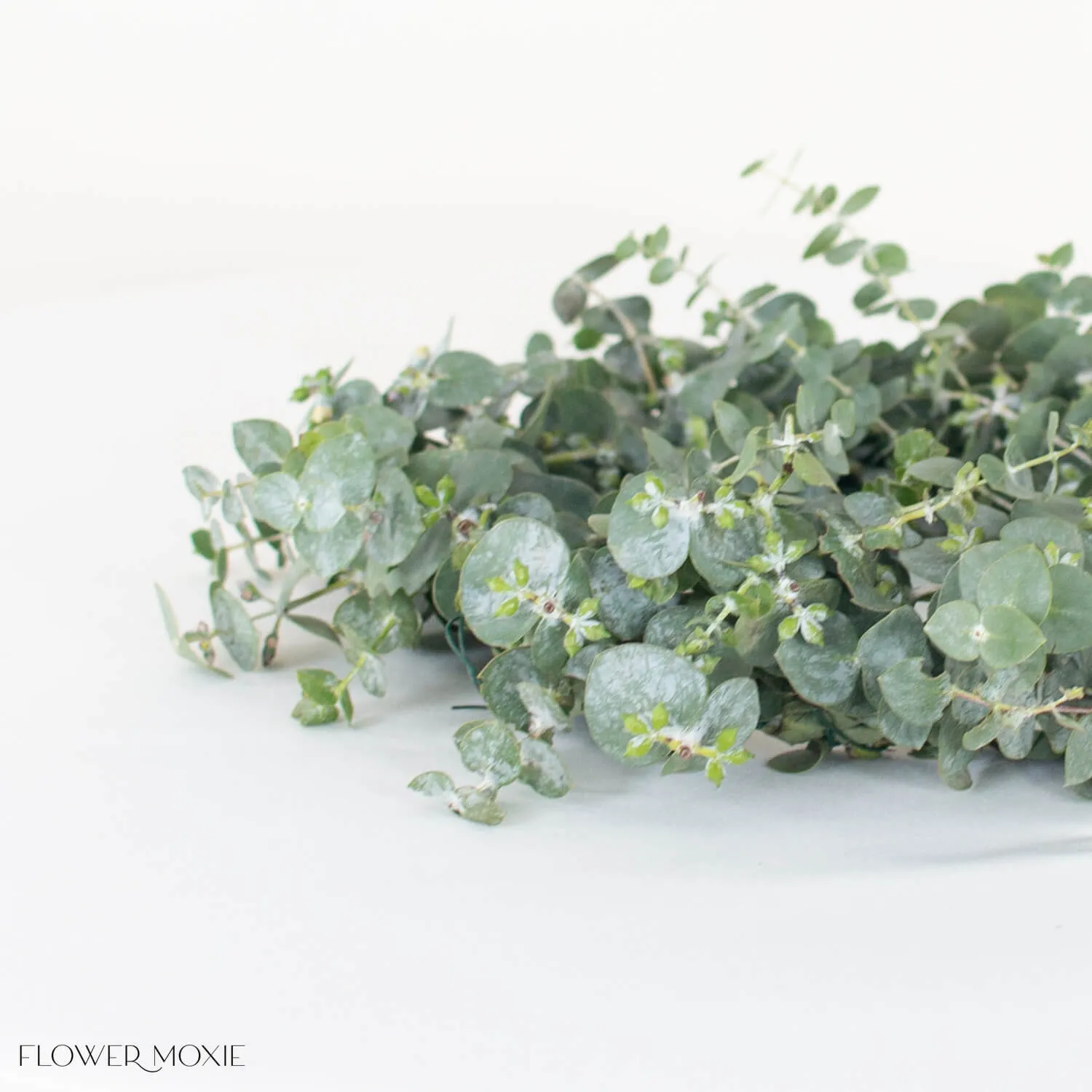 Baby Eucalyptus Candle Ring