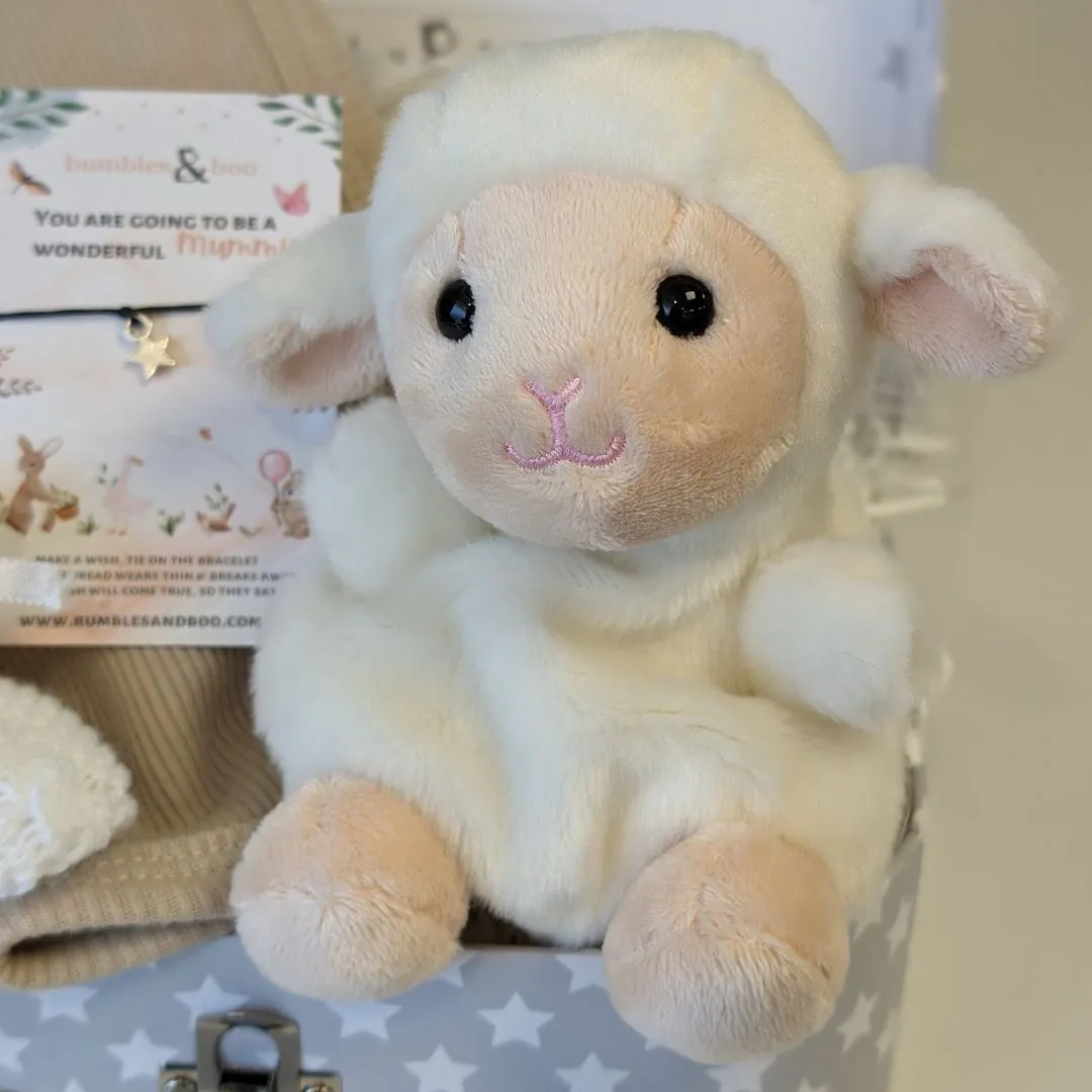 Baby Shower Gifts - Lullaby Lamb Hamper