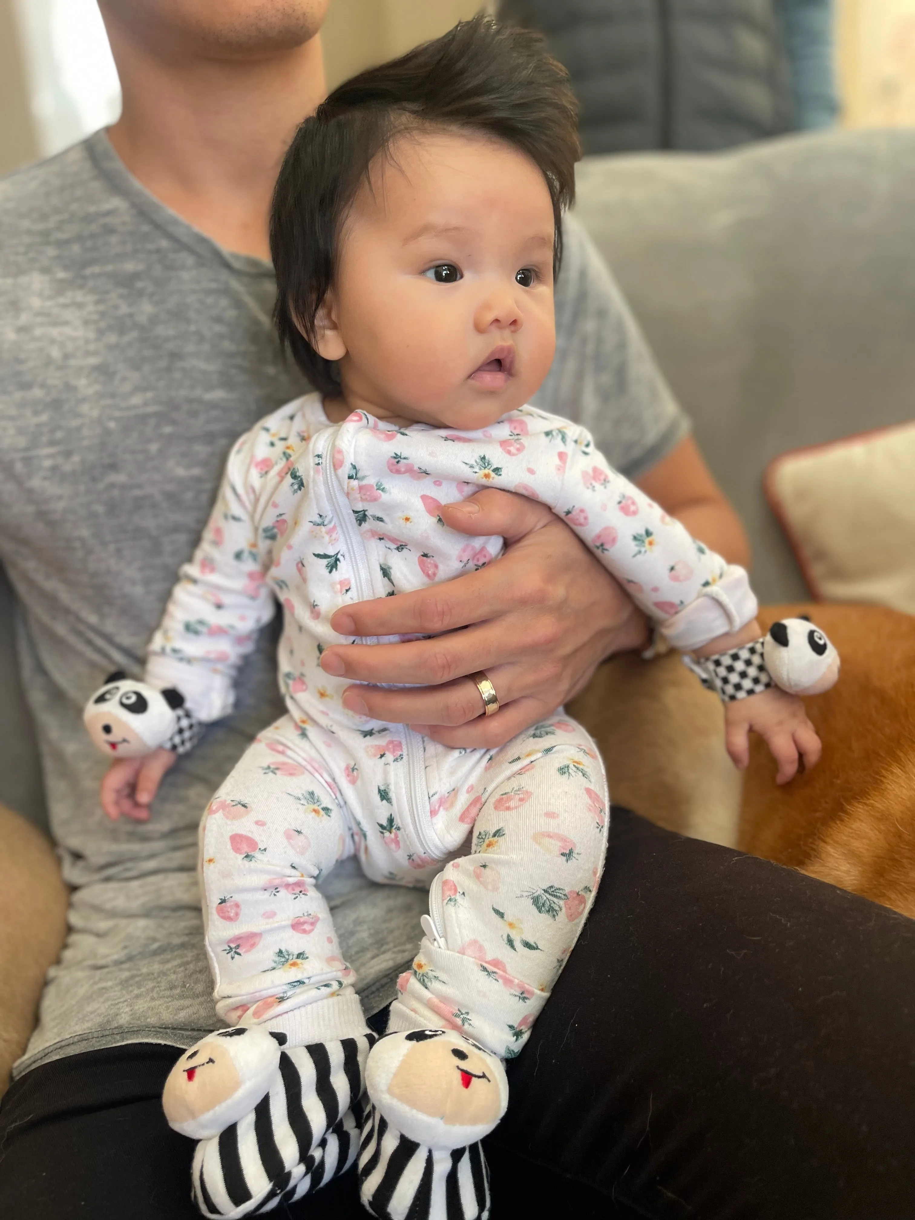 Black & White Pair of Panda Baby Booties with Rattle