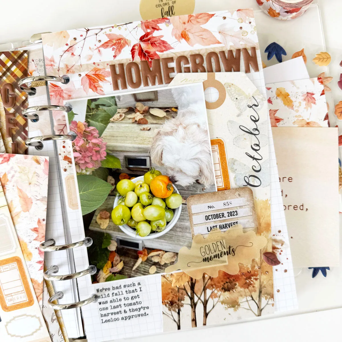 Cozy Season Scrapbooking Kit - No Add Ons - October 2024