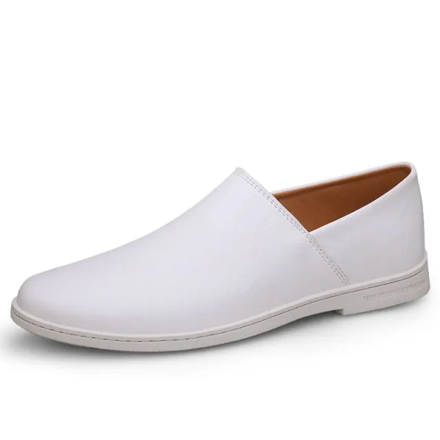 Dexter Men's Loafers Casual Shoes