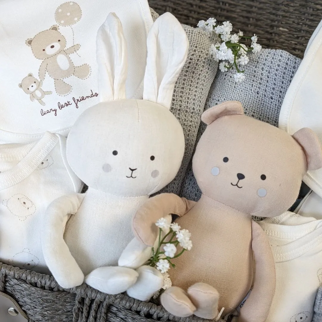 Large Twins Baby Gift Hamper Beary Best Friends