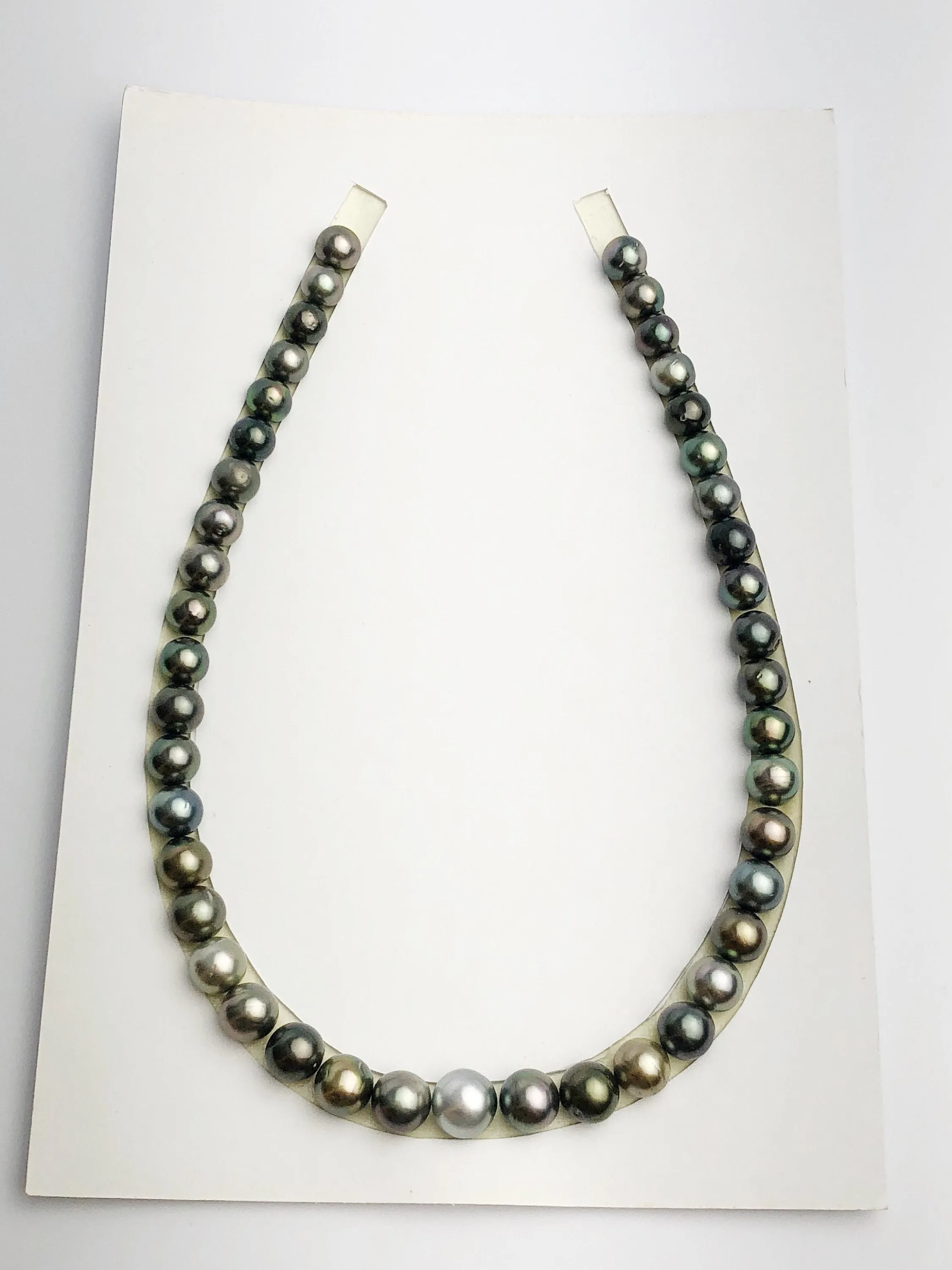 Loose Tahitian Pearls Set, Multicolor, Wholesale - Only 17 per pearl - AA Quality (237)