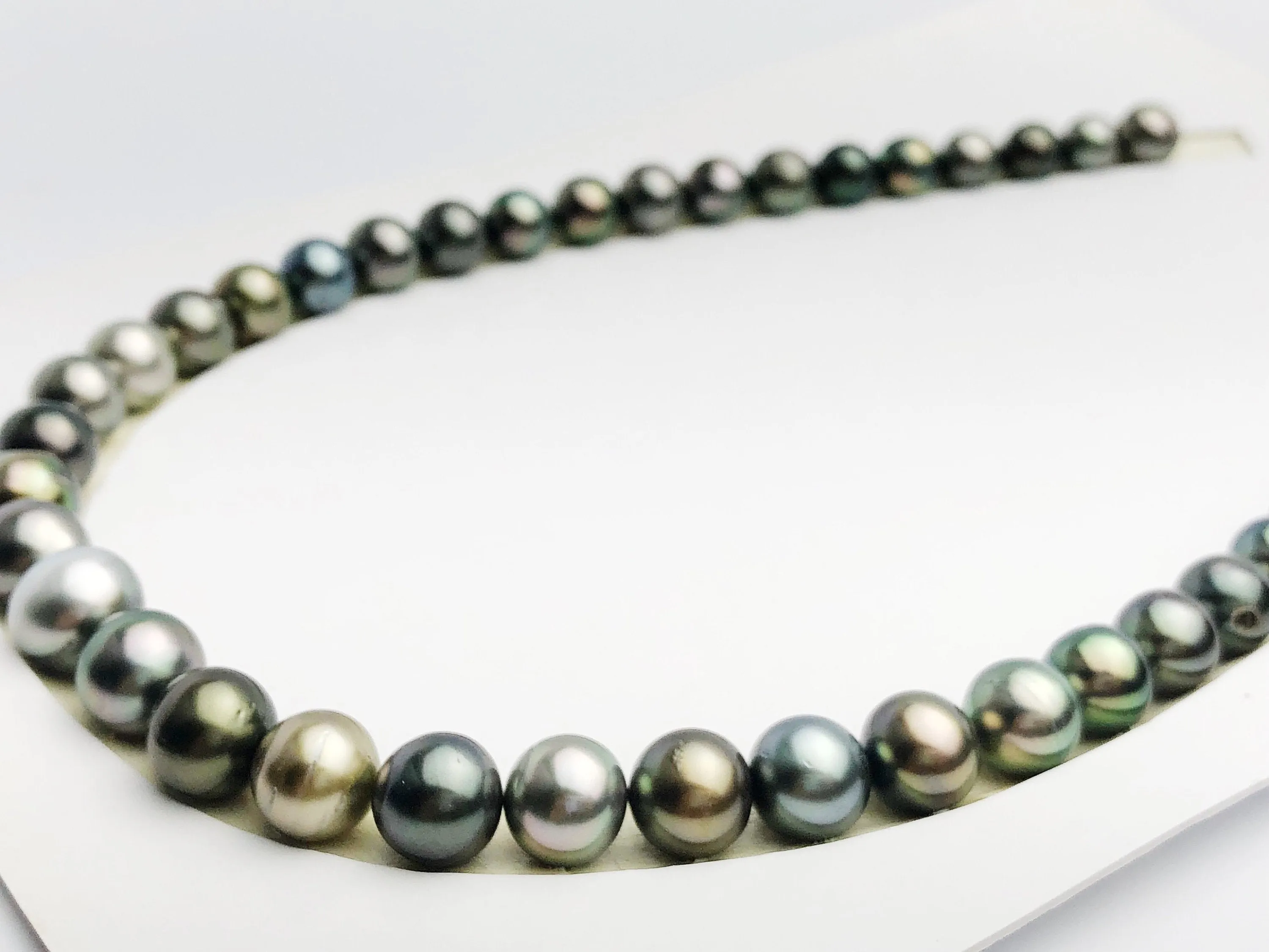 Loose Tahitian Pearls Set, Multicolor, Wholesale - Only 17 per pearl - AA Quality (237)