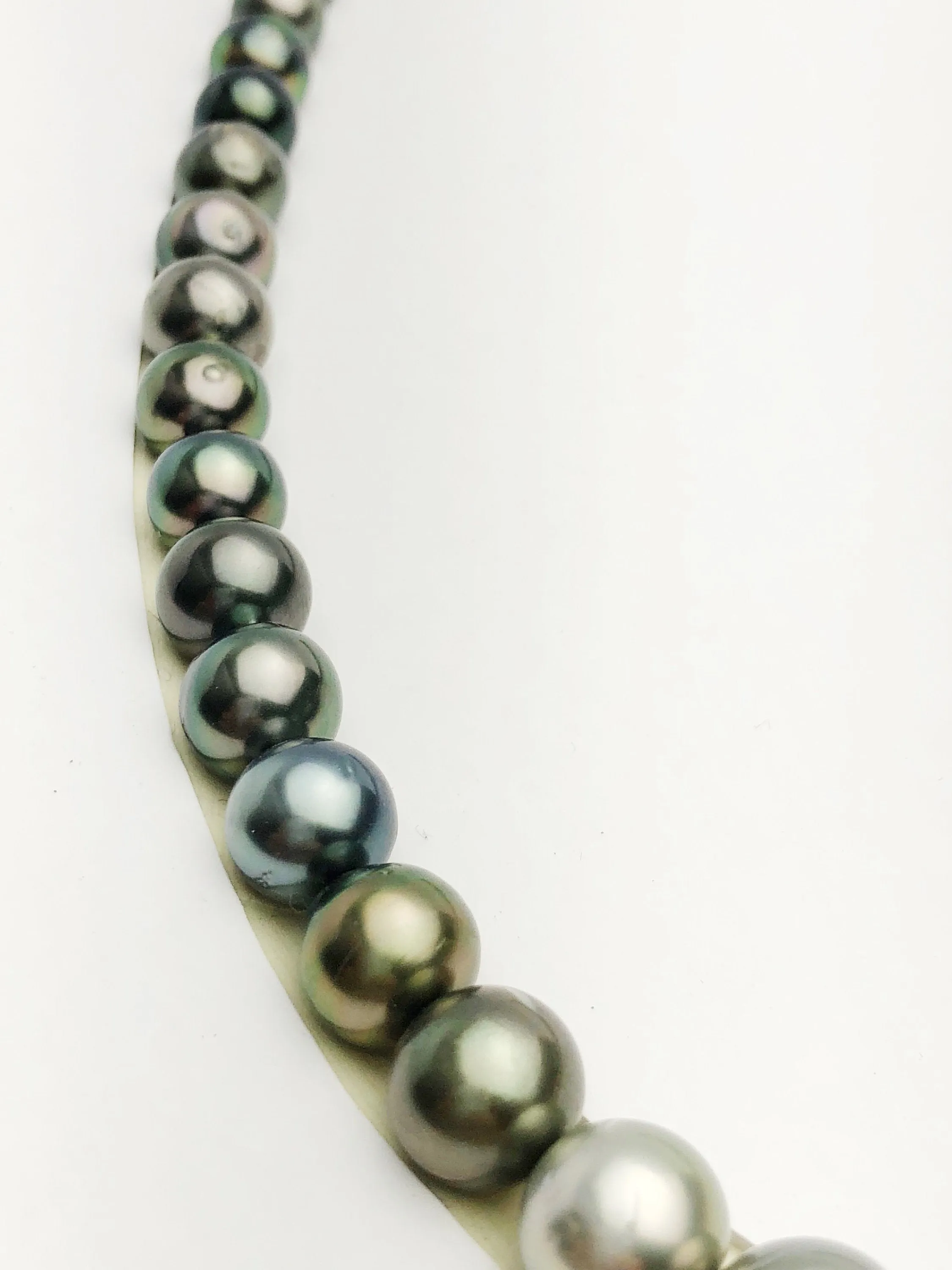 Loose Tahitian Pearls Set, Multicolor, Wholesale - Only 17 per pearl - AA Quality (237)