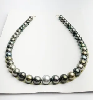 Loose Tahitian Pearls Set, Multicolor, Wholesale - Only 17 per pearl - AA Quality (237)