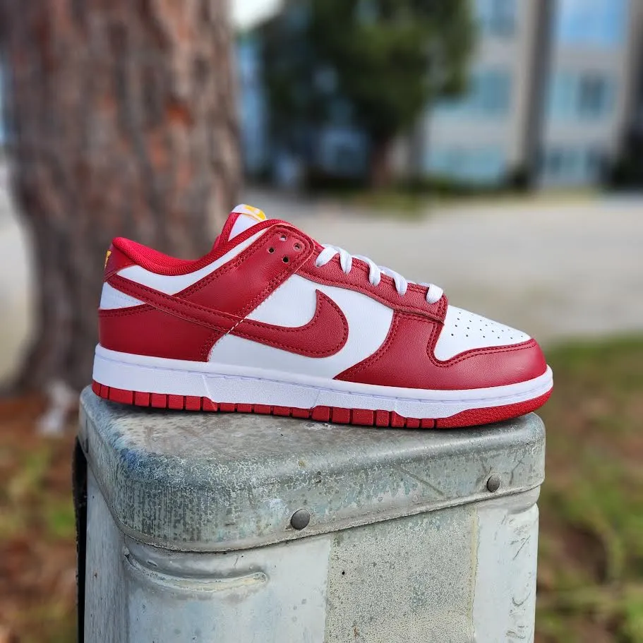 Nike Dunk Low Retro 'AMERICA'