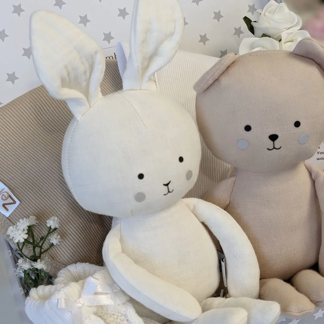 Twins Baby Gifts Trunk - Bunny & Bear