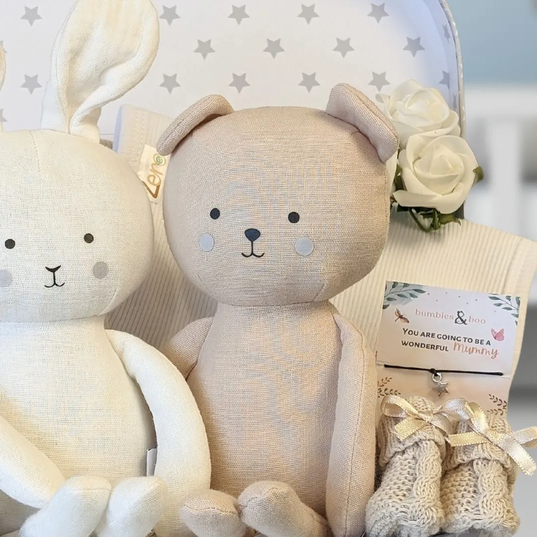 Twins Baby Gifts Trunk - Bunny & Bear